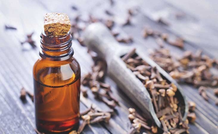 Đinh hương có tác dụng chống viêm hiệu quả