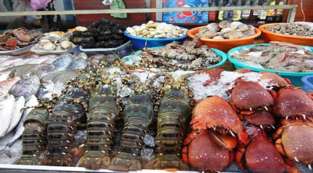 Với đặc trưng vùng biển nên hải sản Nha Trang rất tươi ngon phong phú