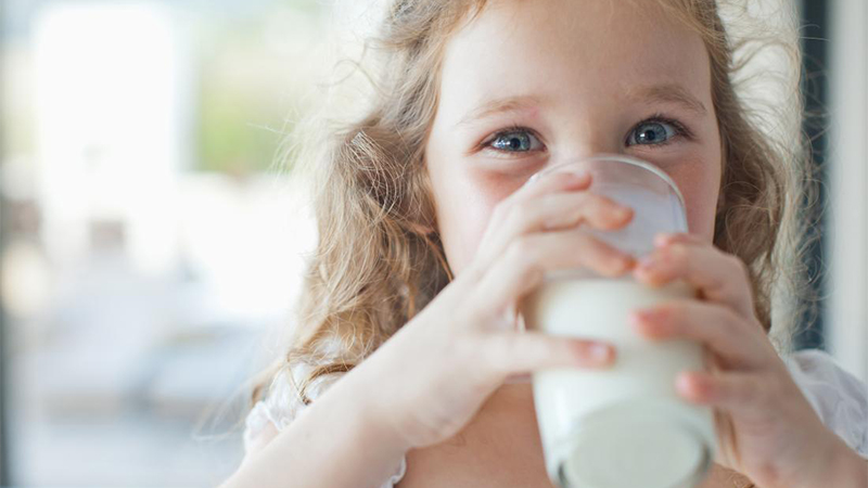 Sữa tươi là nguồn dinh dưỡng dồi dào
